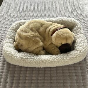 Perfect ❤️ Petzz